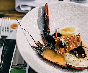 Curated Lunch Experience