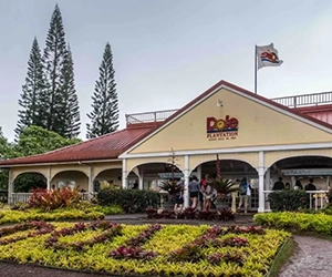 Dole Plantation